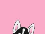 Dogs Drawing Wallpaper 78 Best Cute Dog Phone Wallpapers Images In 2019 Kawaii Wallpaper