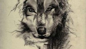Draw A Detailed Wolf 109 Best Wolf Images Wolf Drawings Art Drawings Draw Animals