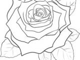 Draw A Rose Dragoart 9 Best Dragoart Images How to Draw Beautiful Drawings Crayon Art