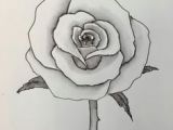 Draw A Rose On Paper 4487 Best Easy to Draw Images In 2019 Drawing Tutorials Drawing