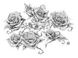 Draw A Rose Vine Image Result for Vine and Thorns Drawings Deck Of Cards Tattoos