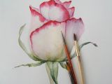 Draw A Rose Watercolor Pin by isabelle O On Dessin Pinterest Watercolor Watercolor