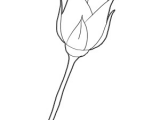Draw A Rose with A Stem How to Draw Long Stem Roses Drawing Tutorial for Valentines Day