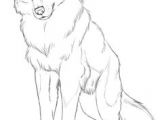 Draw A Sitting Wolf Die 73 Besten Bilder Von Wolf Wolf Drawings Draw Animals Und Drawings