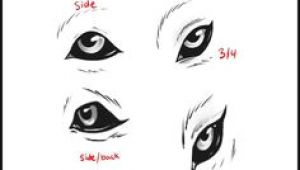 Draw A Wolf Eye Step by Step 180 Best Wolf Drawings Images Drawing Techniques Drawing