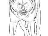 Draw Wolf Growling 157 Best Angry Wolf Images Werewolf Werewolves Drawings