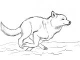 Draw Wolf Growling when You Run Make Sure You Run to something and Not Away From
