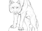 Draw Wolf Laying Down 180 Best Wolf Drawings Images Drawing Techniques Drawing