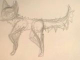 Draw Wolf Oc A Wip Of A Wolf Oc I M Working On the Drawing Crew Pinterest