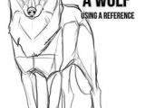 Draw Wolf Profile 74 Best Wolf Drawing References Images Werewolf Drawings Wolves