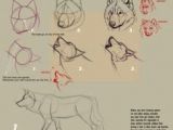 Draw Wolf Profile 74 Best Wolf Drawing References Images Werewolf Drawings Wolves