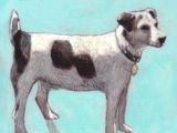 Drawing 100 Dogs 168 Best Art Dog Animal Images Animal Paintings Dog Art