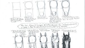 Drawing 3 4 View How to Draw A Horse Head Front View by A N 0 N Y M O U S On