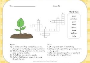 Drawing 7 Crossword Crossword Puzzle From Seed to Plant Journeys Aligned 1 2