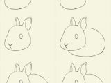 Drawing 7 Steps How to Draw Bunny Learn to Draw A Cute Bunny Step by Step Images