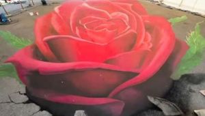 Drawing A 3d Red Rose Time Lapse 3d Rose Coming to Life In A Cool Timelapse Video Time for Science