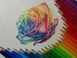 Drawing A 3d Rose Rose Color Pencil Drawing by Gaby Sabbagh Rainbows Pencil