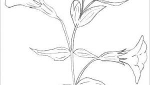 Drawing A Bunch Of Flowers Bunch Of Flowers Drawing Easy S S Media Cache Ak0 Pinimg originals