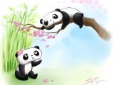 Drawing A Cartoon Bear Easy to Draw Panda Bear 1023 Best Pandamonium 0d Images On