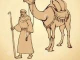 Drawing A Cartoon Camel 18 Best Camel Images Camel Camels Drawings