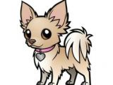 Drawing A Cartoon Chihuahua 11 Best Chihuahuas Images Chihuahua Dogs Pets Chihuahua Drawing