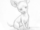 Drawing A Cartoon Chihuahua Easy Drawings Of Chihuahuas Google Search Chihuahua Chihuahua