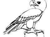 Drawing A Cartoon Eagle Eagle Cartoon Drawing In 4 Steps with Photoshop D D N N N soft Cute