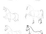 Drawing A Cartoon Horse Step by Step 64 Best How to Draw Horses Images