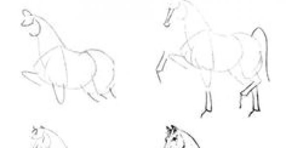 Drawing A Cartoon Horse Step by Step 64 Best How to Draw Horses Images
