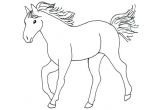 Drawing A Cartoon Horse Step by Step Simple Horse Drawings for Kids Images Pictures Becuo for Remi