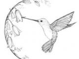 Drawing A Cartoon Hummingbird Image Result for Black and White Hummingbird Drawing Drawings