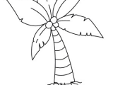 Drawing A Cartoon Leaf How to Draw A Palm Tree