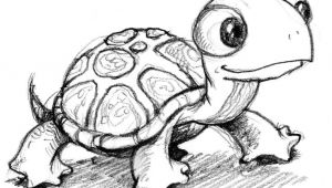Drawing A Cartoon Turtle Cute Little Anime Turtle Google Search Baby Animals Drawings