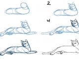 Drawing A Cat Body How to Draw Cat Bodies In Poses Savanna Williams Drawing