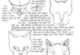 Drawing A Cat for Beginners 73 Best How to Draw Images Drawing Techniques Drawing Tutorials