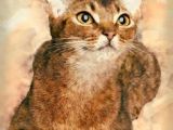 Drawing A Cat Portrait 2471 Best Art Cats Images In 2019 Cat Art Drawings Watercolor
