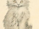 Drawing A Cat Portrait Kitten Portrait I Love All Of the Cat Drawings by Oliver Herford