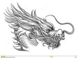 Drawing A Chinese Dragons 997 Best asian Dragons Images In 2019 Japanese Tattoos Japanese