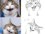 Drawing A Cute Kitten Miji Lee Cht Art 2 Pinterest Drawings Animal Drawings and Cat