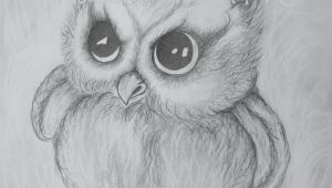 Drawing A Cute Owl Cute Quietly Determined Owl Cute Owl Print Determined Owl Sketch
