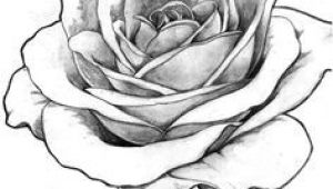 Drawing A Detailed Rose Image Result for Detailed Flower Outline Art Tattoos Drawings