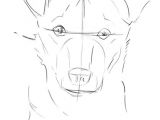 Drawing A Dog Face Step by Step How to Draw A Dog From A Photograph
