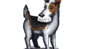 Drawing A Dog In Illustrator Hannah Tuohy Illustrator Dogbarkingvideo Dog Barking Video