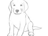 Drawing A Dog Profile How to Draw A Puppy Drawing Drawings Puppy Drawing Sketches