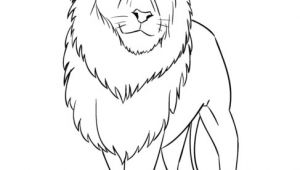 Drawing A Easy Lion How to Draw A Cartoon Lion Step by Step Drawing Tutorials for Kids