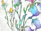 Drawing A Field Of Flowers 700 Best Art Watercolor Flowers Images Flower Watercolor