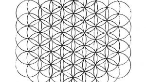 Drawing A Flower Of Life Flower Of Life How to Draw It Art Inspiration Pinterest