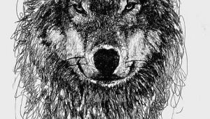 Drawing A Gray Wolf Wolf Scribble Drawing Scribble Art Scribble Art Scribble Drawings