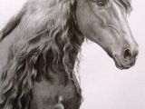Drawing A Horse Eye This Horse Has A Wonderful soft Eye Equine Obsession Horses