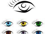 Drawing A Pair Of Eyes Set Od Different Color Eyes Royalty Free Vector Image